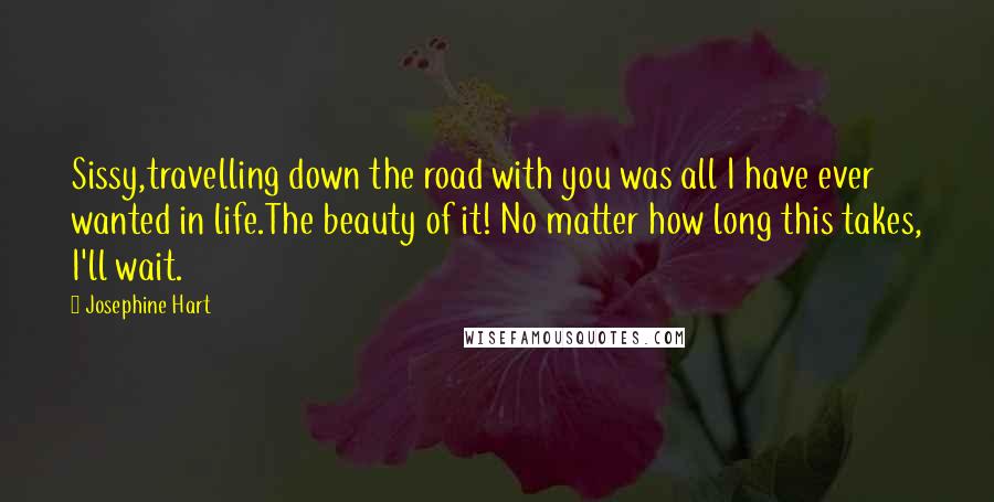 Josephine Hart Quotes: Sissy,travelling down the road with you was all I have ever wanted in life.The beauty of it! No matter how long this takes, I'll wait.