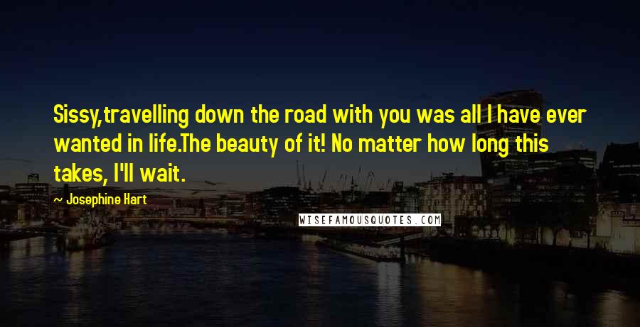 Josephine Hart Quotes: Sissy,travelling down the road with you was all I have ever wanted in life.The beauty of it! No matter how long this takes, I'll wait.