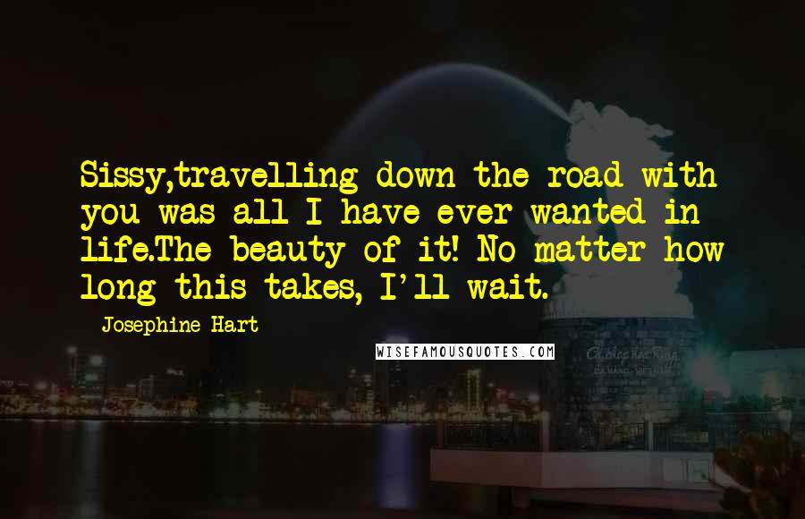 Josephine Hart Quotes: Sissy,travelling down the road with you was all I have ever wanted in life.The beauty of it! No matter how long this takes, I'll wait.