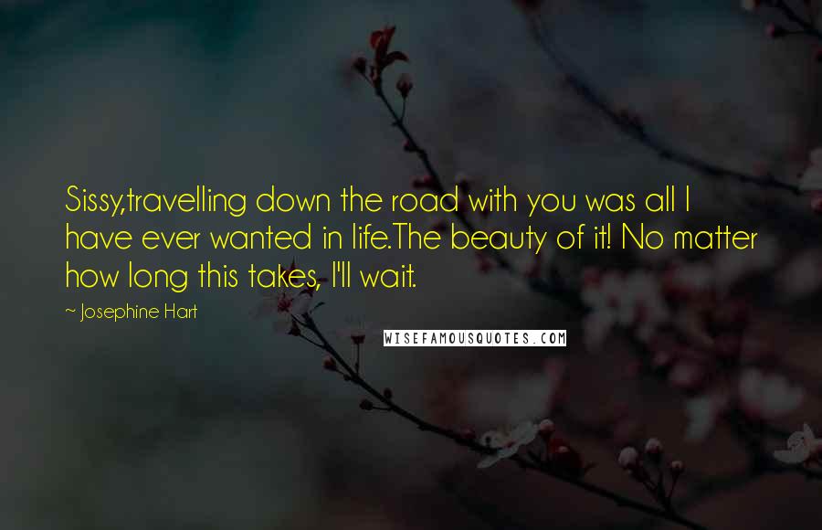 Josephine Hart Quotes: Sissy,travelling down the road with you was all I have ever wanted in life.The beauty of it! No matter how long this takes, I'll wait.