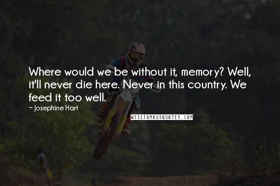 Josephine Hart Quotes: Where would we be without it, memory? Well, it'll never die here. Never in this country. We feed it too well.