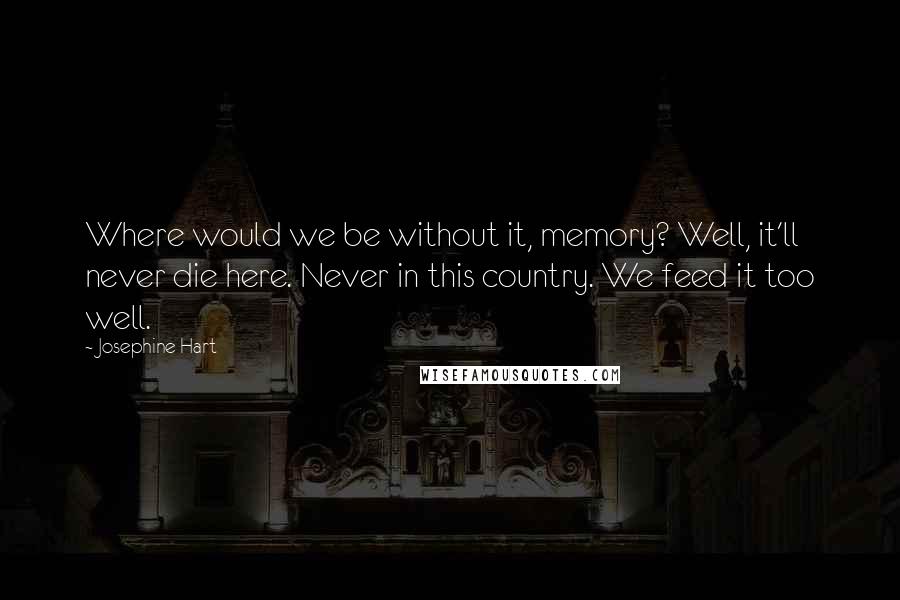 Josephine Hart Quotes: Where would we be without it, memory? Well, it'll never die here. Never in this country. We feed it too well.