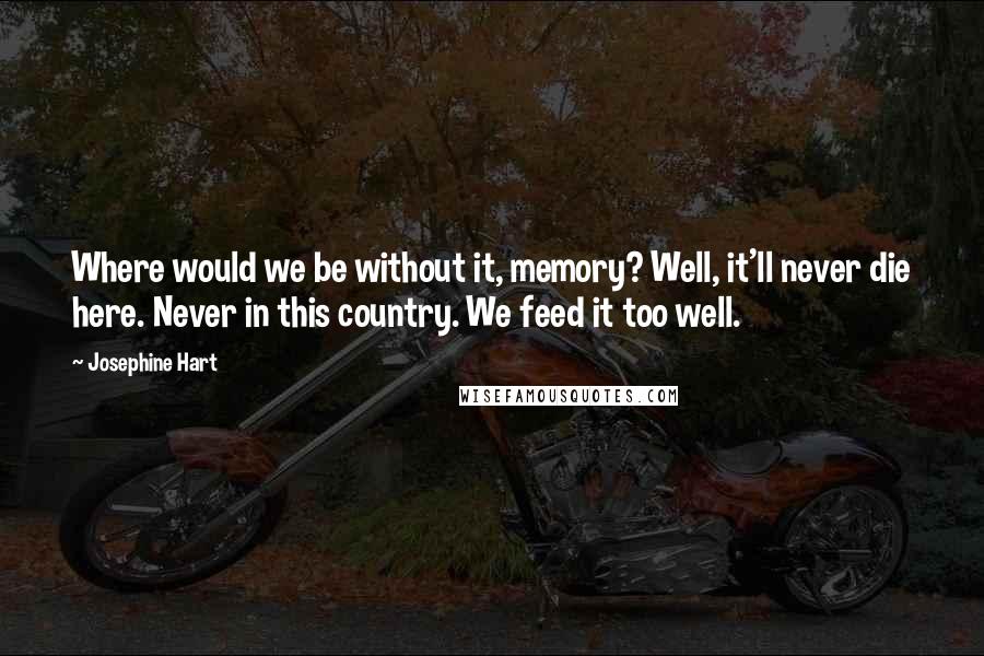 Josephine Hart Quotes: Where would we be without it, memory? Well, it'll never die here. Never in this country. We feed it too well.