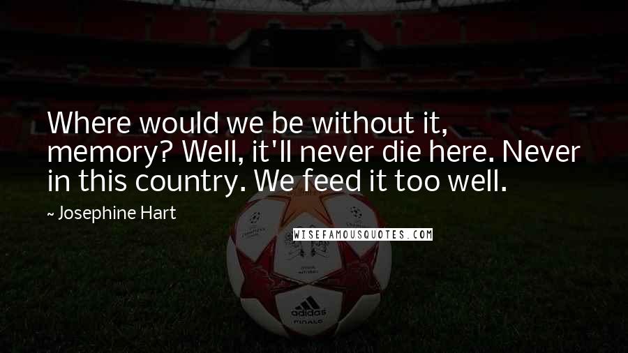 Josephine Hart Quotes: Where would we be without it, memory? Well, it'll never die here. Never in this country. We feed it too well.