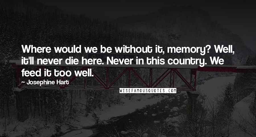 Josephine Hart Quotes: Where would we be without it, memory? Well, it'll never die here. Never in this country. We feed it too well.