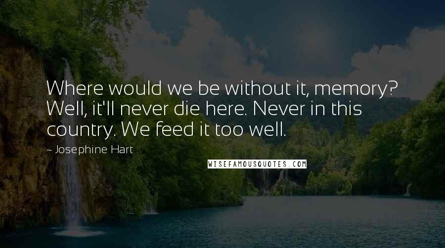 Josephine Hart Quotes: Where would we be without it, memory? Well, it'll never die here. Never in this country. We feed it too well.