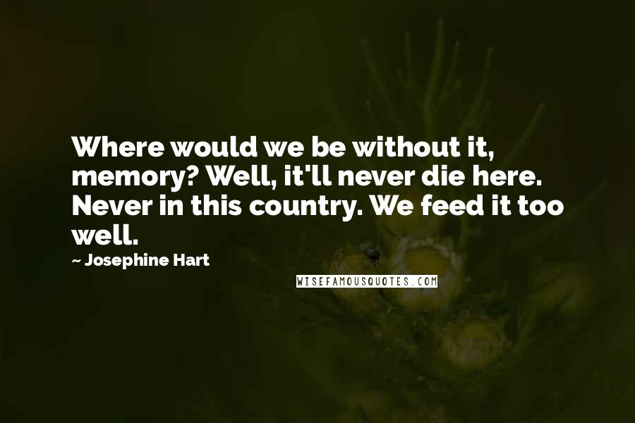 Josephine Hart Quotes: Where would we be without it, memory? Well, it'll never die here. Never in this country. We feed it too well.