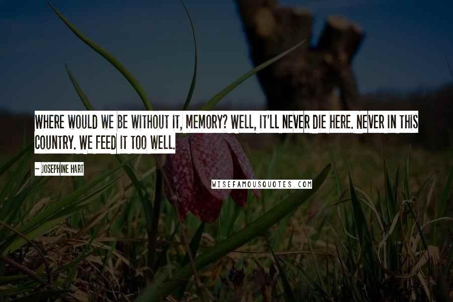 Josephine Hart Quotes: Where would we be without it, memory? Well, it'll never die here. Never in this country. We feed it too well.