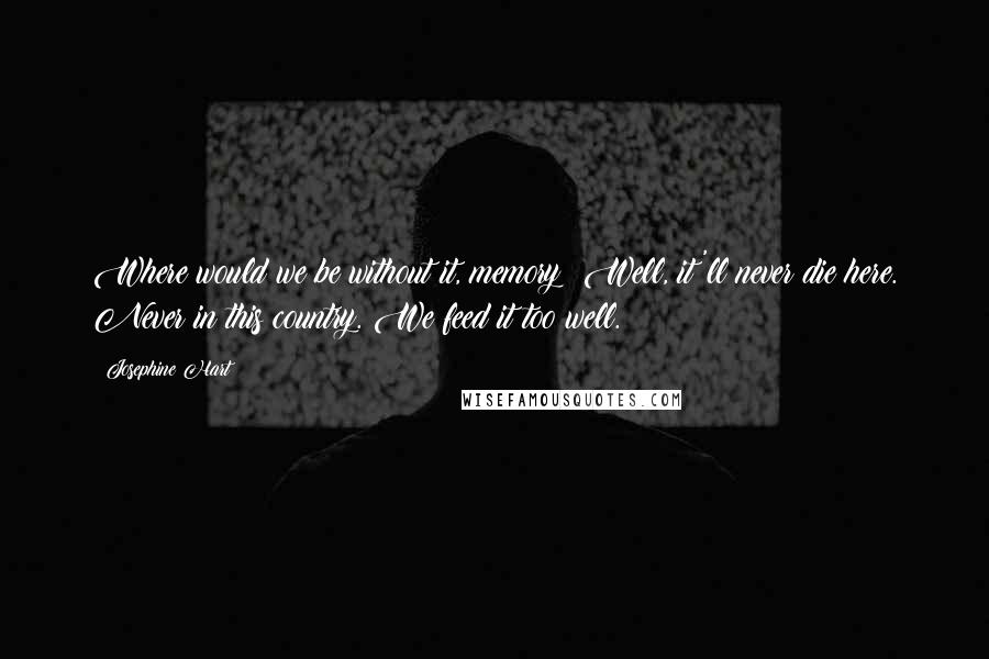 Josephine Hart Quotes: Where would we be without it, memory? Well, it'll never die here. Never in this country. We feed it too well.