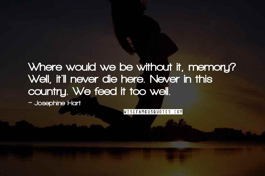 Josephine Hart Quotes: Where would we be without it, memory? Well, it'll never die here. Never in this country. We feed it too well.