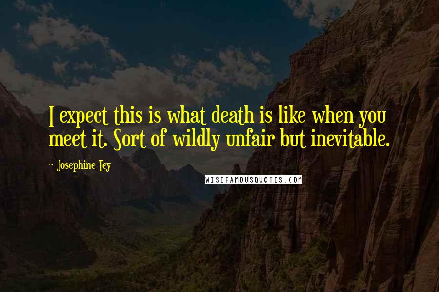 Josephine Tey Quotes: I expect this is what death is like when you meet it. Sort of wildly unfair but inevitable.