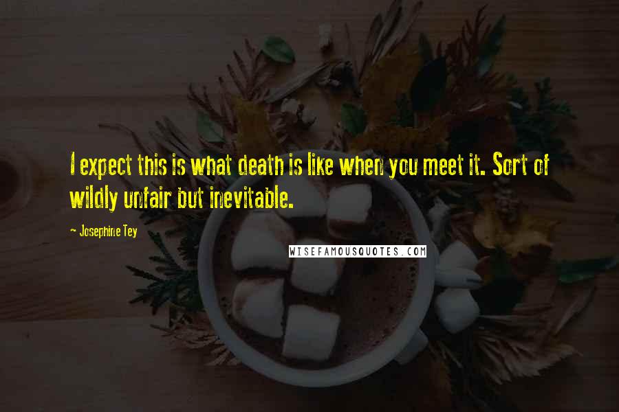Josephine Tey Quotes: I expect this is what death is like when you meet it. Sort of wildly unfair but inevitable.
