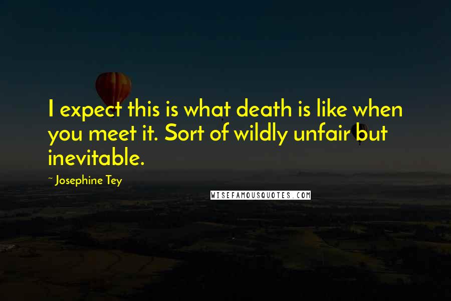 Josephine Tey Quotes: I expect this is what death is like when you meet it. Sort of wildly unfair but inevitable.