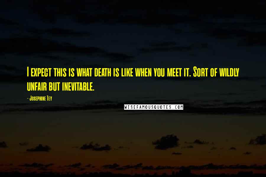 Josephine Tey Quotes: I expect this is what death is like when you meet it. Sort of wildly unfair but inevitable.