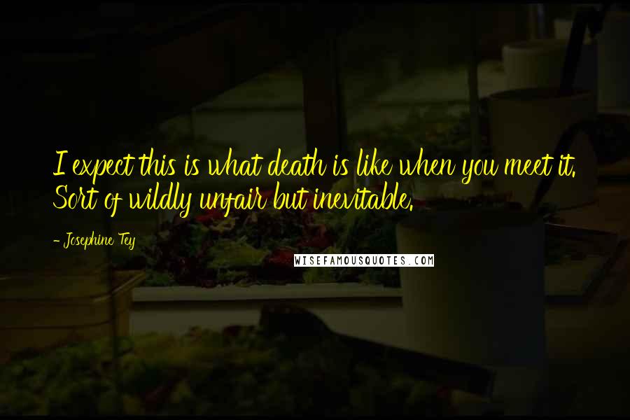 Josephine Tey Quotes: I expect this is what death is like when you meet it. Sort of wildly unfair but inevitable.