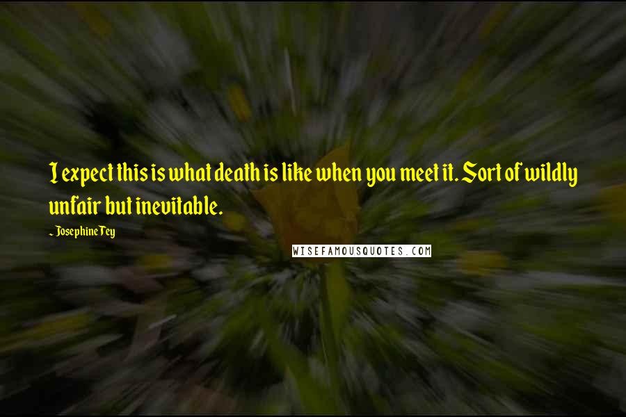 Josephine Tey Quotes: I expect this is what death is like when you meet it. Sort of wildly unfair but inevitable.