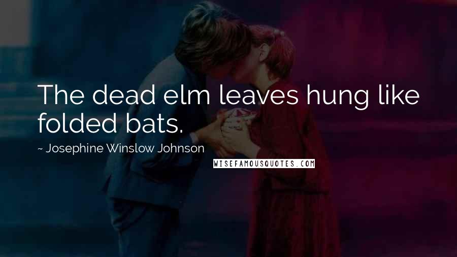 Josephine Winslow Johnson Quotes: The dead elm leaves hung like folded bats.