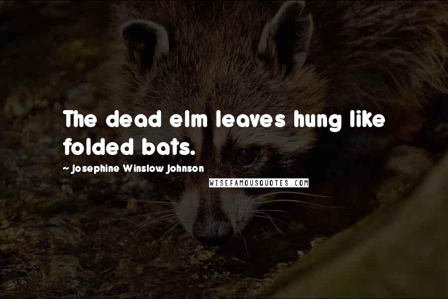 Josephine Winslow Johnson Quotes: The dead elm leaves hung like folded bats.