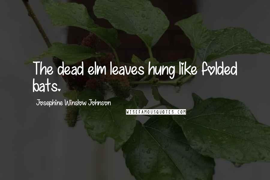 Josephine Winslow Johnson Quotes: The dead elm leaves hung like folded bats.