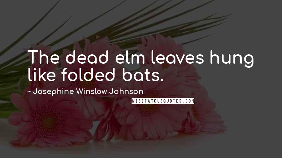 Josephine Winslow Johnson Quotes: The dead elm leaves hung like folded bats.