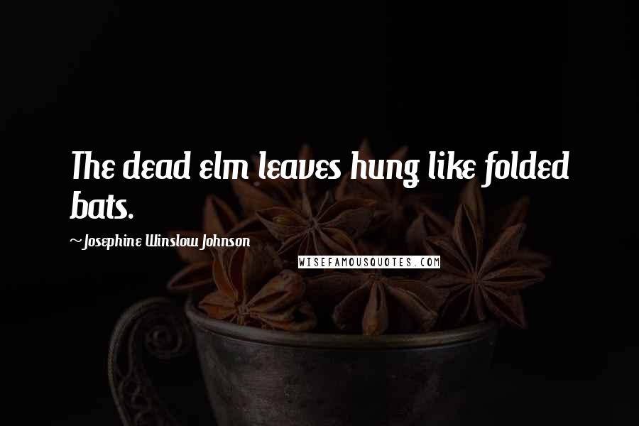 Josephine Winslow Johnson Quotes: The dead elm leaves hung like folded bats.