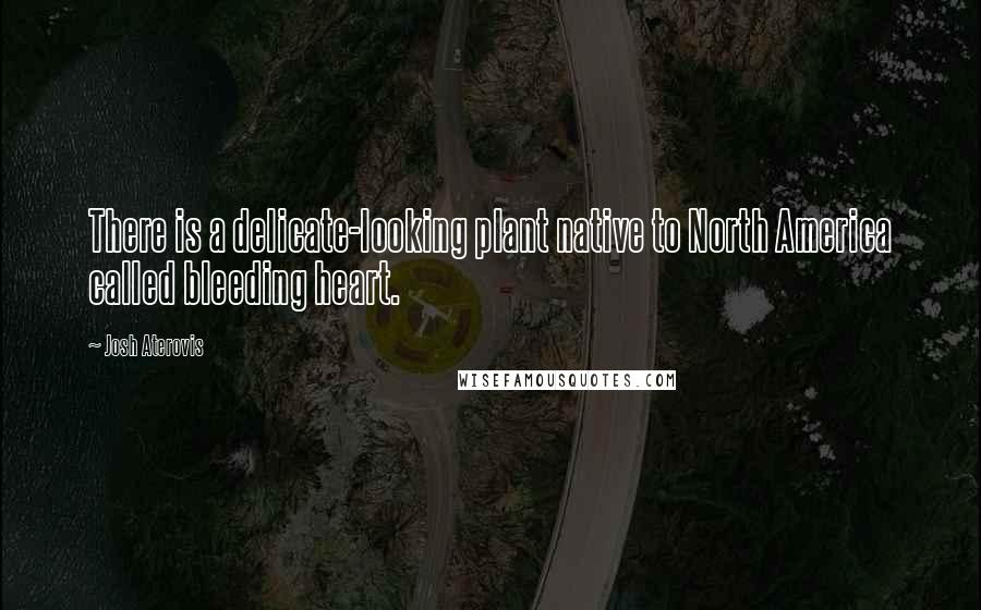 Josh Aterovis Quotes: There is a delicate-looking plant native to North America called bleeding heart.