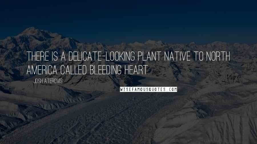 Josh Aterovis Quotes: There is a delicate-looking plant native to North America called bleeding heart.