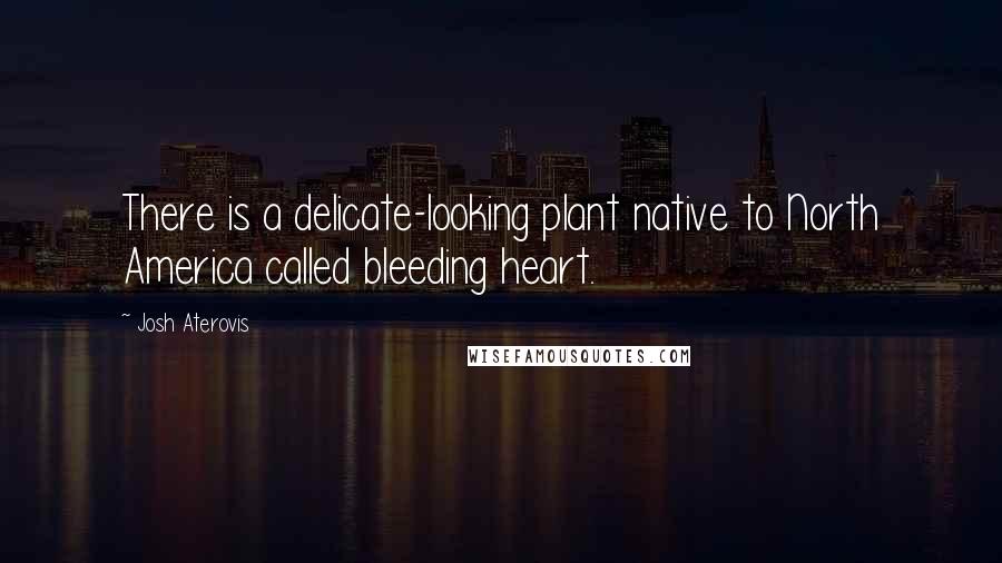 Josh Aterovis Quotes: There is a delicate-looking plant native to North America called bleeding heart.