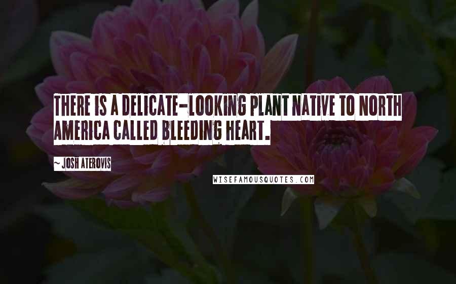 Josh Aterovis Quotes: There is a delicate-looking plant native to North America called bleeding heart.