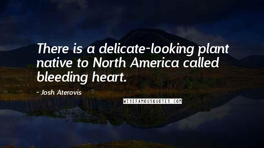 Josh Aterovis Quotes: There is a delicate-looking plant native to North America called bleeding heart.