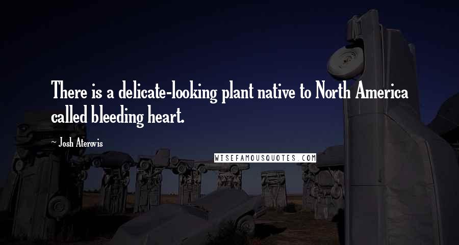 Josh Aterovis Quotes: There is a delicate-looking plant native to North America called bleeding heart.