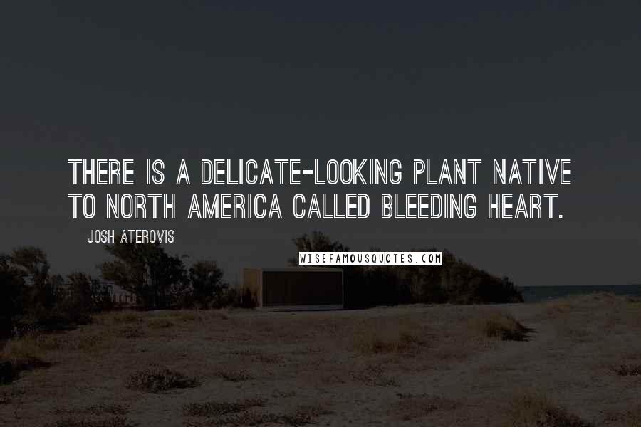 Josh Aterovis Quotes: There is a delicate-looking plant native to North America called bleeding heart.