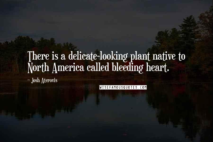 Josh Aterovis Quotes: There is a delicate-looking plant native to North America called bleeding heart.