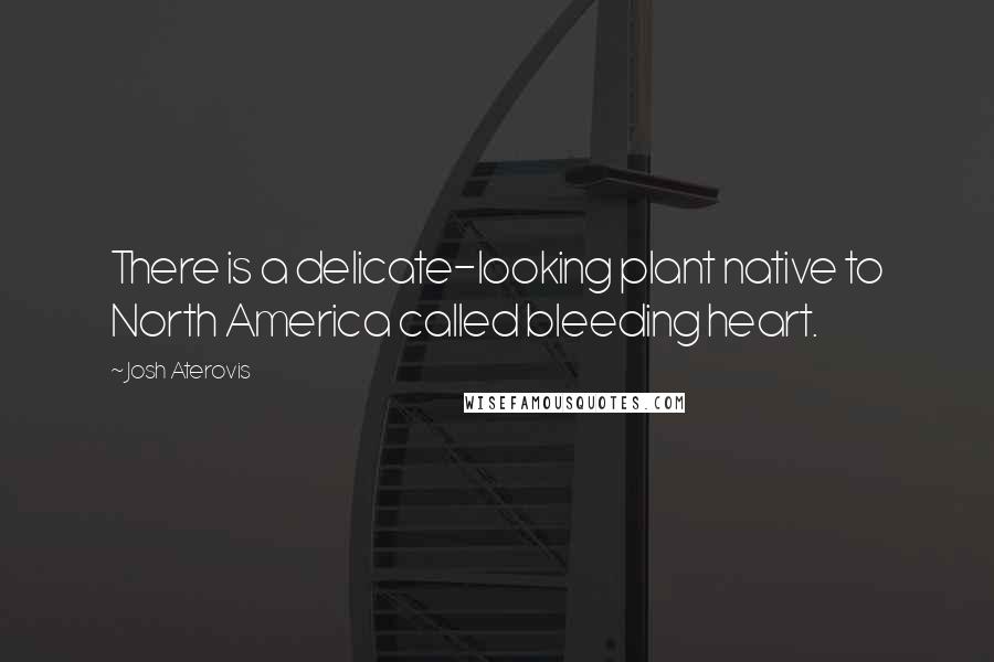 Josh Aterovis Quotes: There is a delicate-looking plant native to North America called bleeding heart.