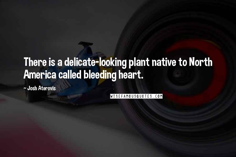 Josh Aterovis Quotes: There is a delicate-looking plant native to North America called bleeding heart.