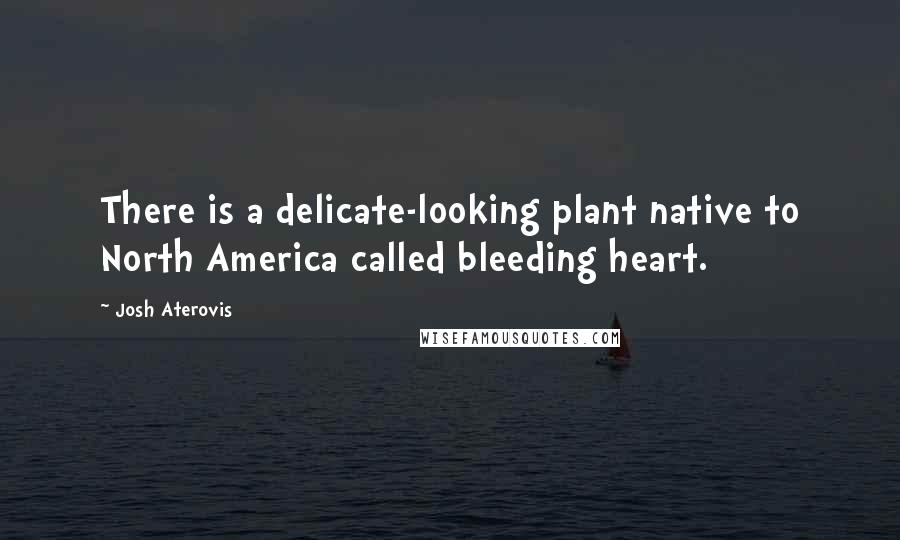 Josh Aterovis Quotes: There is a delicate-looking plant native to North America called bleeding heart.