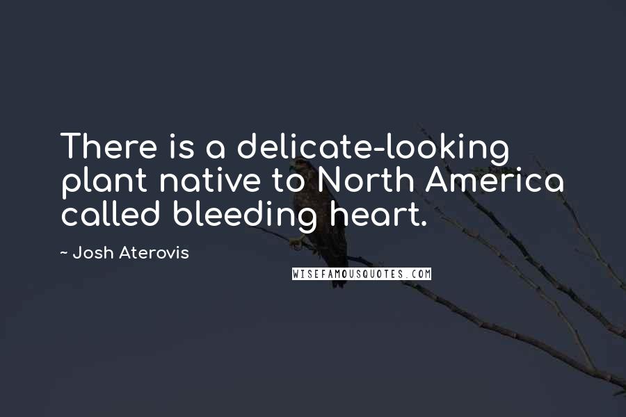 Josh Aterovis Quotes: There is a delicate-looking plant native to North America called bleeding heart.