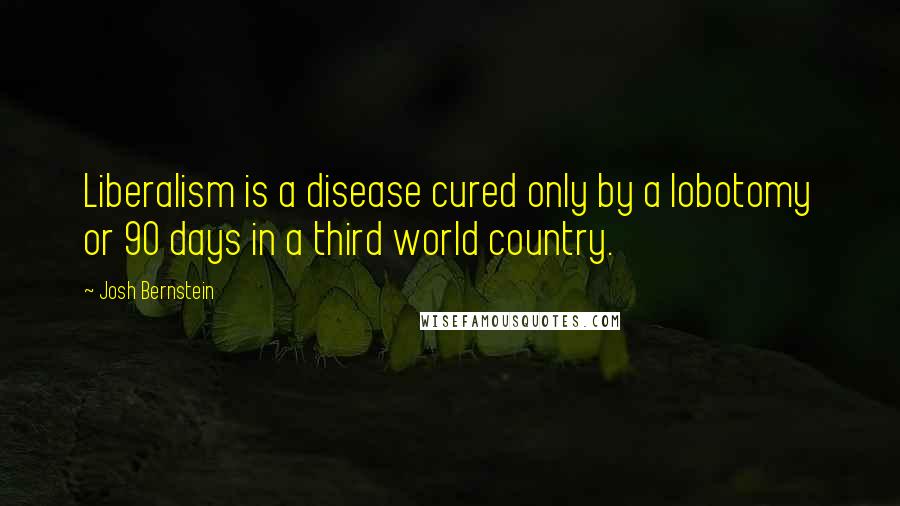 Josh Bernstein Quotes: Liberalism is a disease cured only by a lobotomy or 90 days in a third world country.