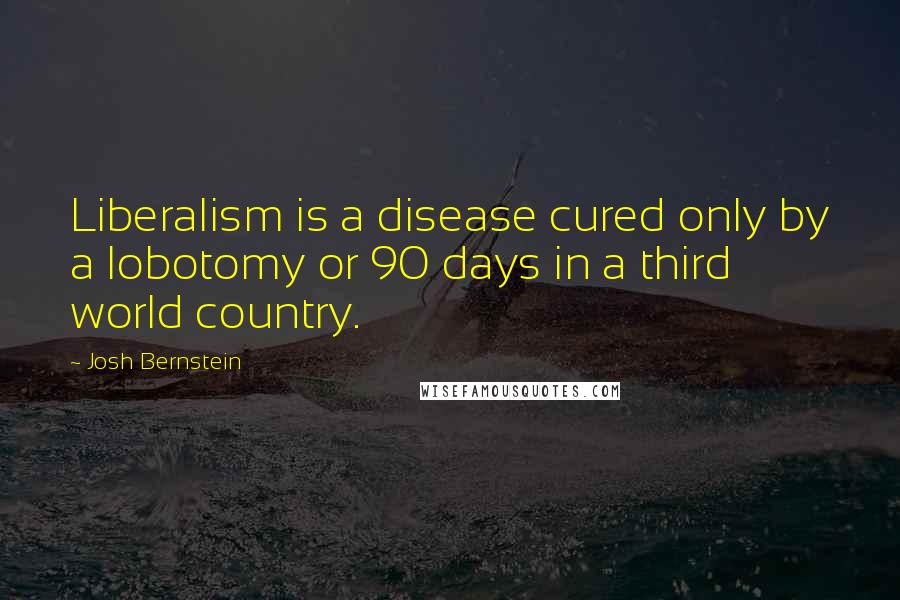 Josh Bernstein Quotes: Liberalism is a disease cured only by a lobotomy or 90 days in a third world country.