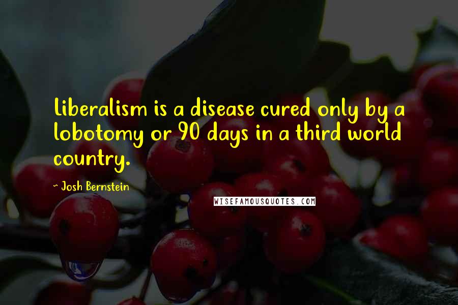 Josh Bernstein Quotes: Liberalism is a disease cured only by a lobotomy or 90 days in a third world country.