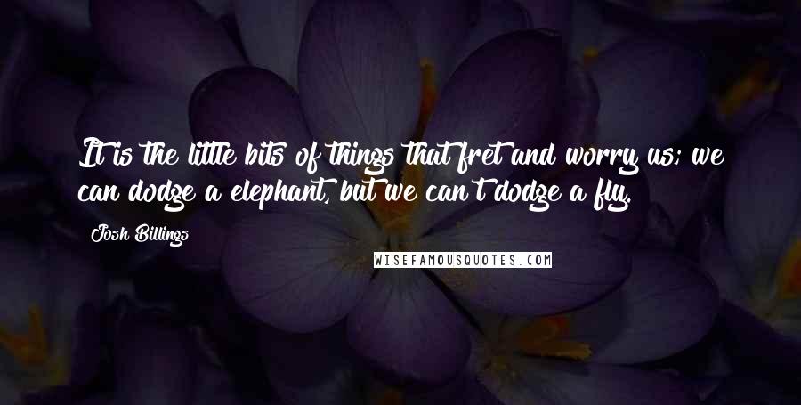 Josh Billings Quotes: It is the little bits of things that fret and worry us; we can dodge a elephant, but we can't dodge a fly.