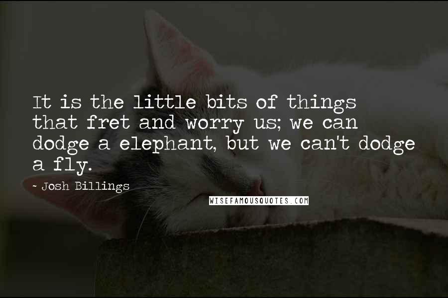 Josh Billings Quotes: It is the little bits of things that fret and worry us; we can dodge a elephant, but we can't dodge a fly.