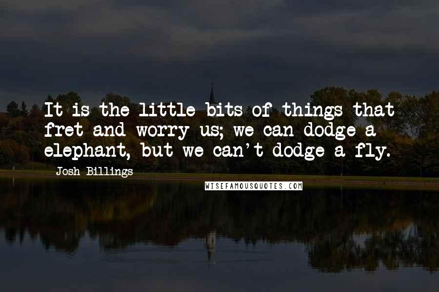 Josh Billings Quotes: It is the little bits of things that fret and worry us; we can dodge a elephant, but we can't dodge a fly.