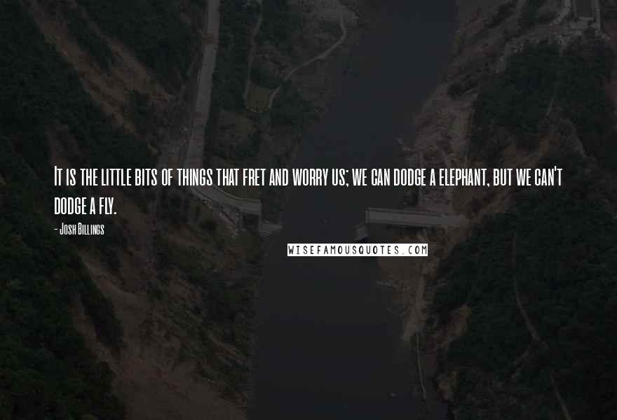 Josh Billings Quotes: It is the little bits of things that fret and worry us; we can dodge a elephant, but we can't dodge a fly.