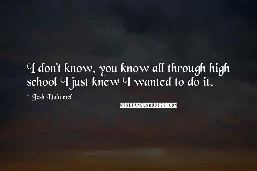 Josh Duhamel Quotes: I don't know, you know all through high school I just knew I wanted to do it.