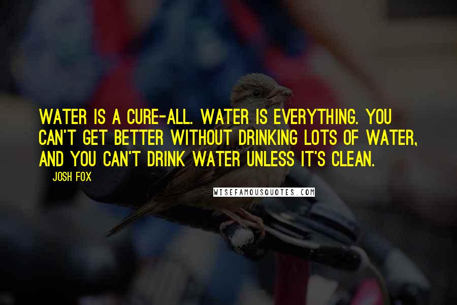 Josh Fox Quotes: Water is a cure-all. Water is everything. You can't get better without drinking lots of water, and you can't drink water unless it's clean.