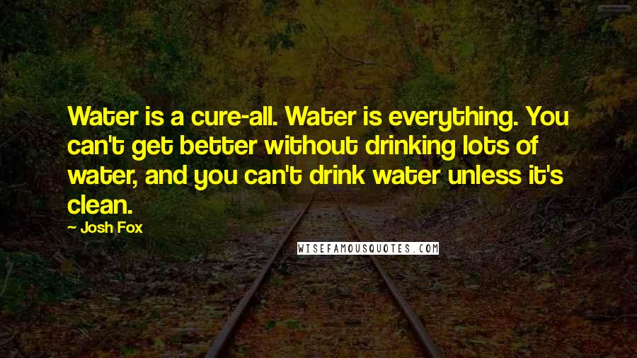 Josh Fox Quotes: Water is a cure-all. Water is everything. You can't get better without drinking lots of water, and you can't drink water unless it's clean.