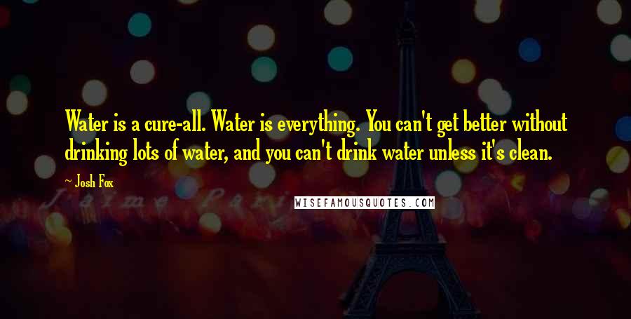 Josh Fox Quotes: Water is a cure-all. Water is everything. You can't get better without drinking lots of water, and you can't drink water unless it's clean.