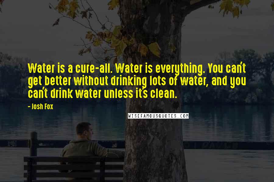 Josh Fox Quotes: Water is a cure-all. Water is everything. You can't get better without drinking lots of water, and you can't drink water unless it's clean.