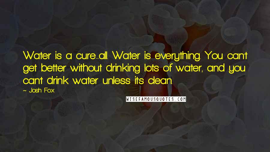 Josh Fox Quotes: Water is a cure-all. Water is everything. You can't get better without drinking lots of water, and you can't drink water unless it's clean.